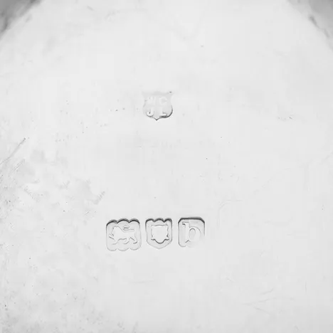 Antique Sterling Silver Naturalistic Dish - Gibson & Langman, hallmarked in 1897 London - Victorian - Image 4